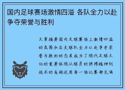国内足球赛场激情四溢 各队全力以赴争夺荣誉与胜利