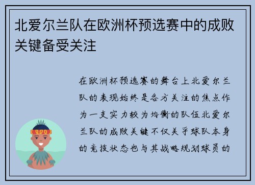 北爱尔兰队在欧洲杯预选赛中的成败关键备受关注