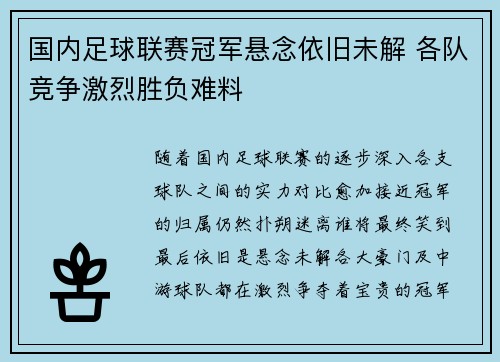 国内足球联赛冠军悬念依旧未解 各队竞争激烈胜负难料