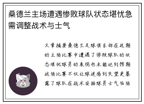 桑德兰主场遭遇惨败球队状态堪忧急需调整战术与士气